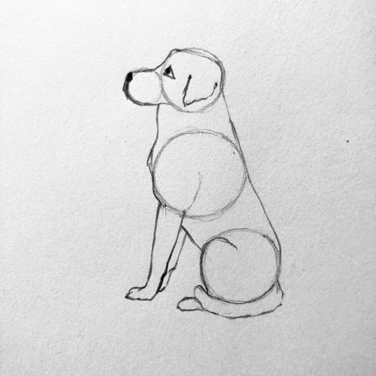 Hund Von Der Seite Zeichnen Hund malen: Einfache Anleitung in nur 5 Schritten